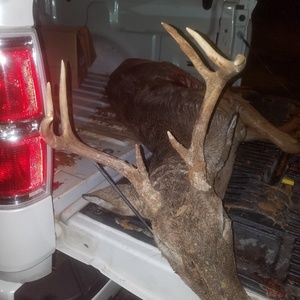 Meet your Posher, Nancy